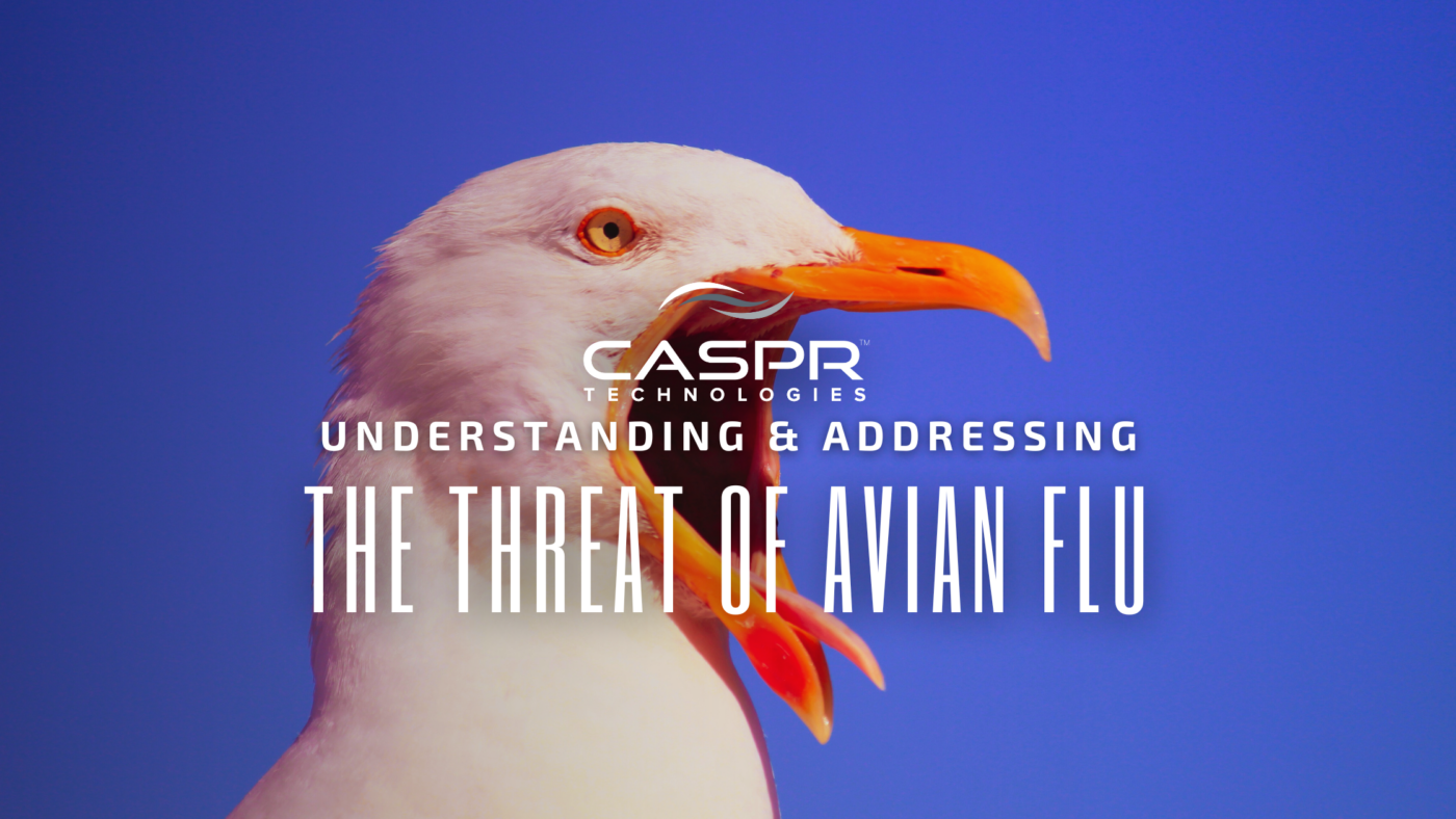 Avian Flu Blog Banner